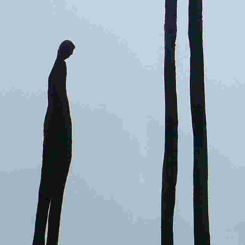 Incurious Seeker - profile